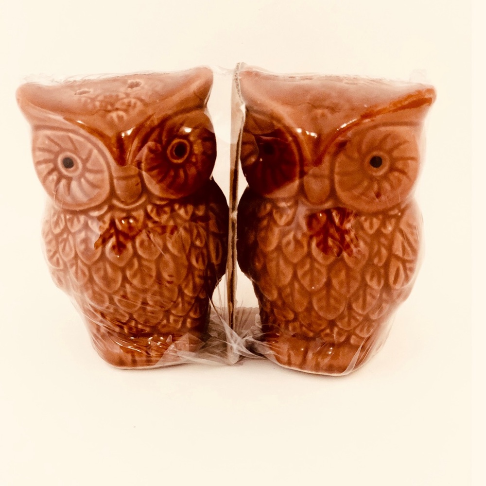 Owl Salt & Pepper Ceramic Shakers Rust/Orange
